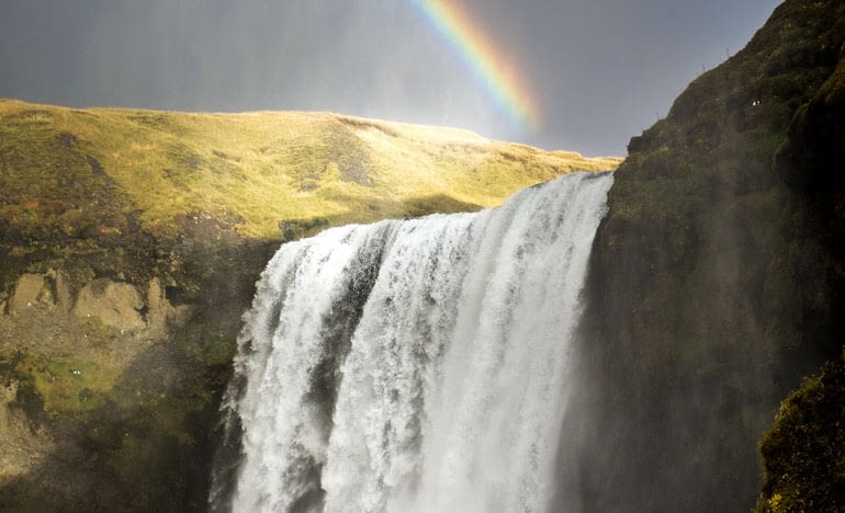 Heartlessness versus Heartiness