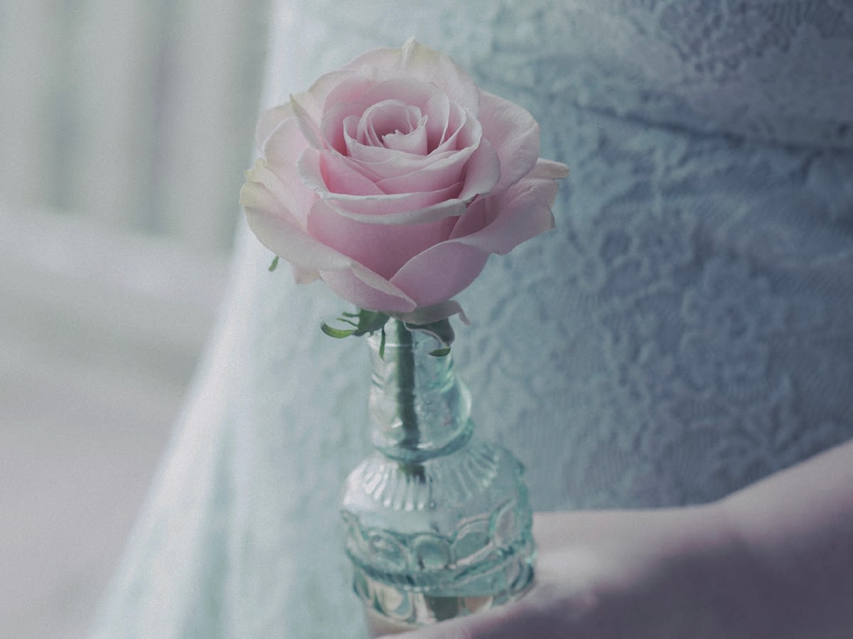 blog feature image 1200x900 cultivating healthy relationships (1)