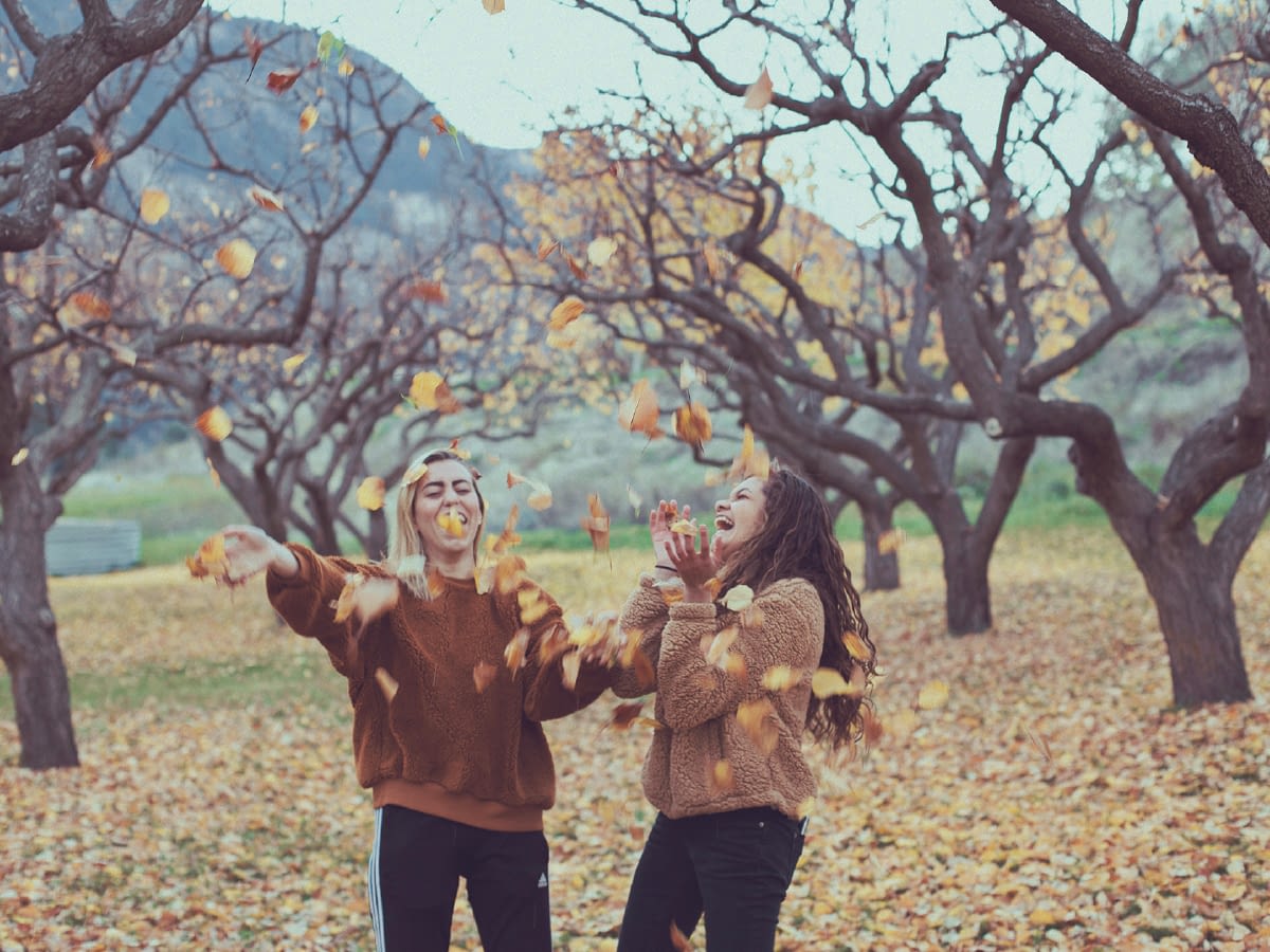 blog feature image 1200x900 the love of a friend