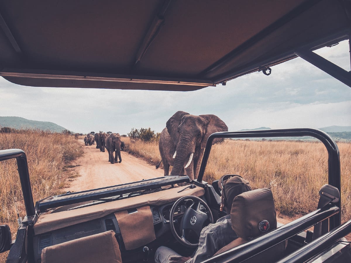 blog feature image 1200x900 trusting god in the wild unknown