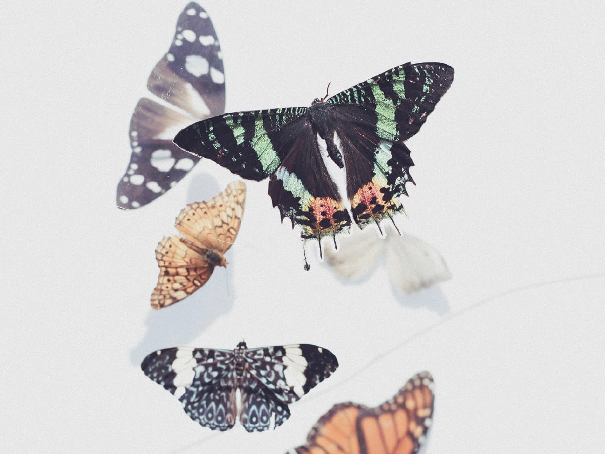 blog feature image 1200x900 when everything changes gods purpose endures