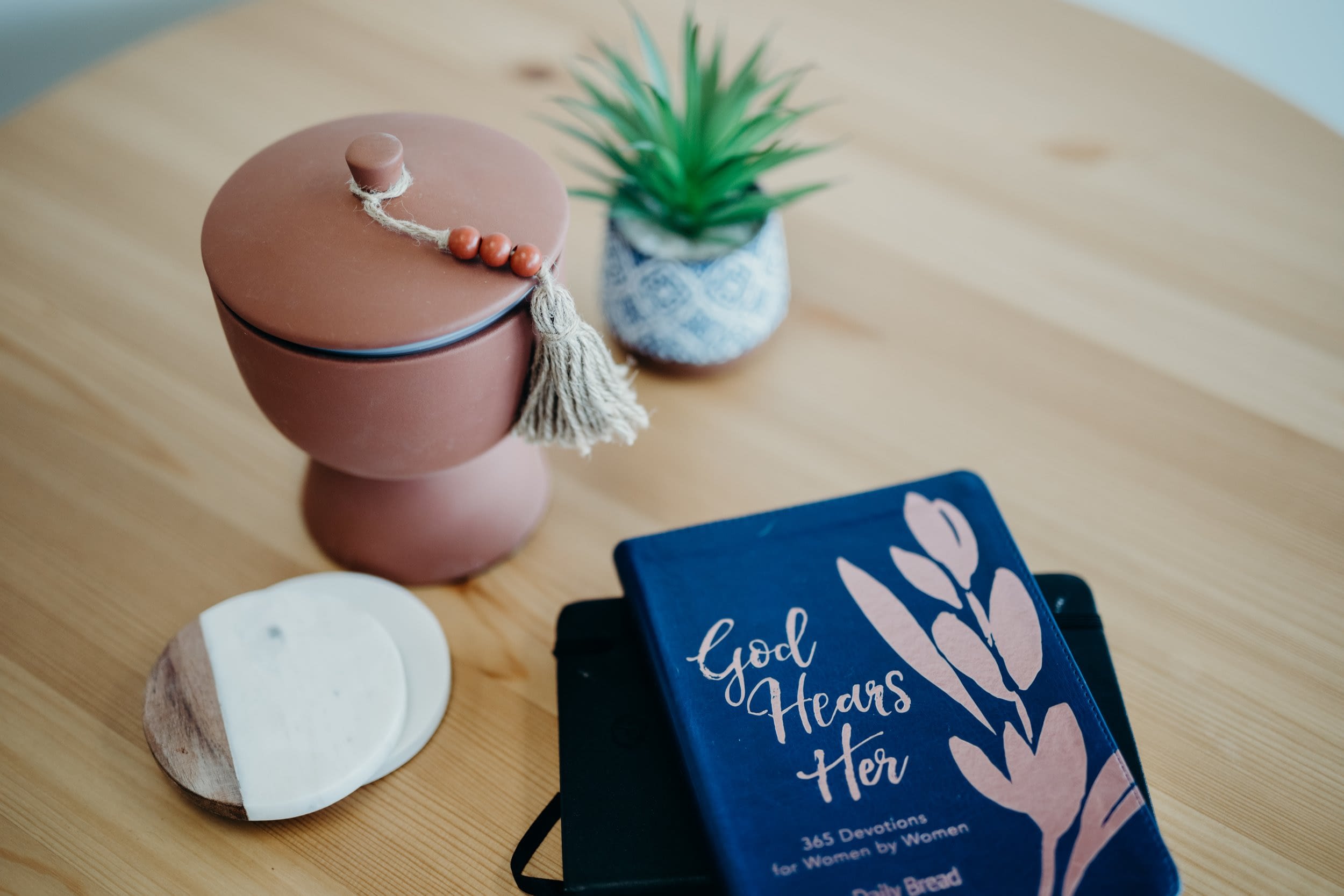 Devotional book, pot, plants on wooden table