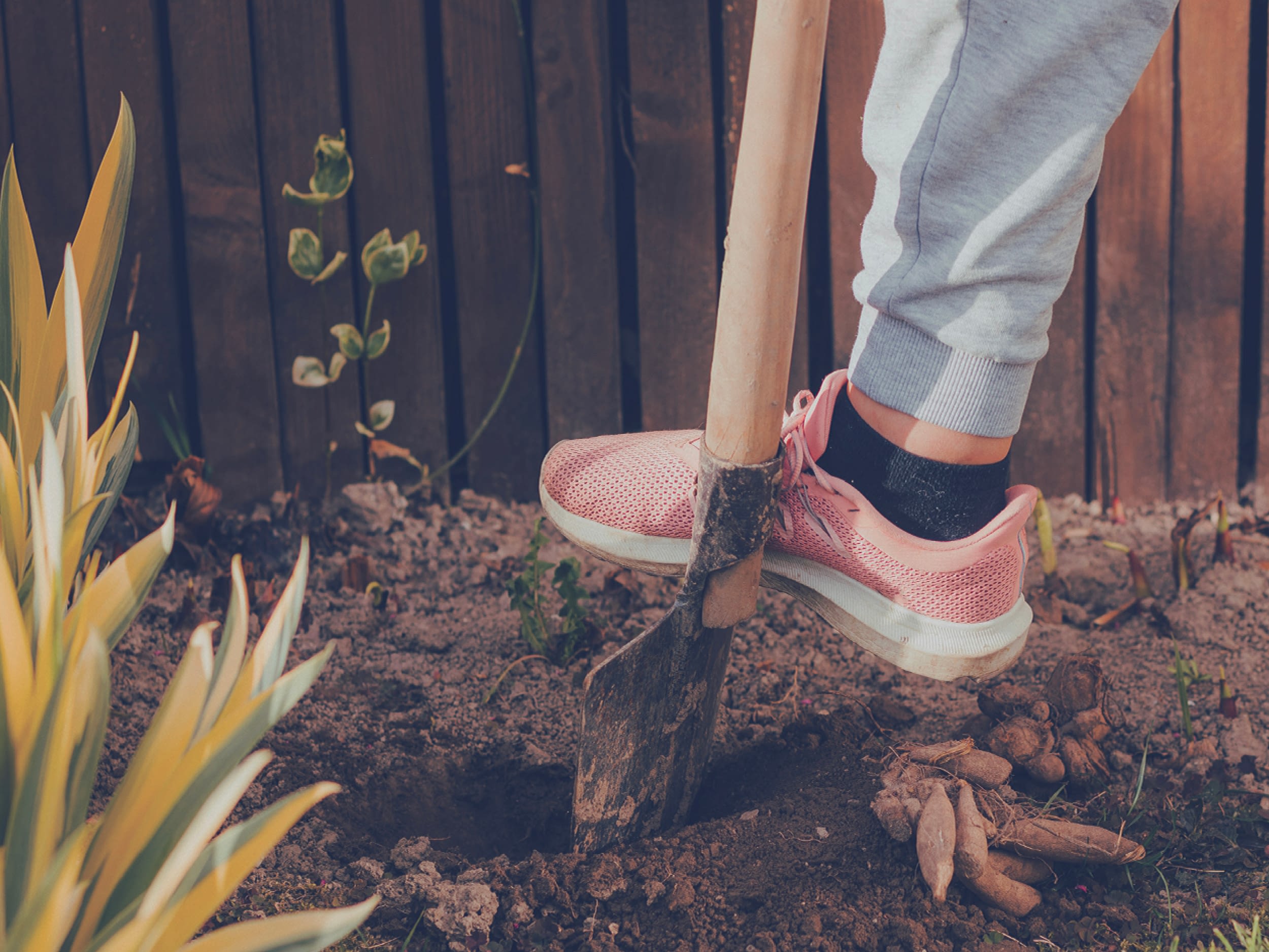 blog feature image 1200x900 bitter towards answered prayers