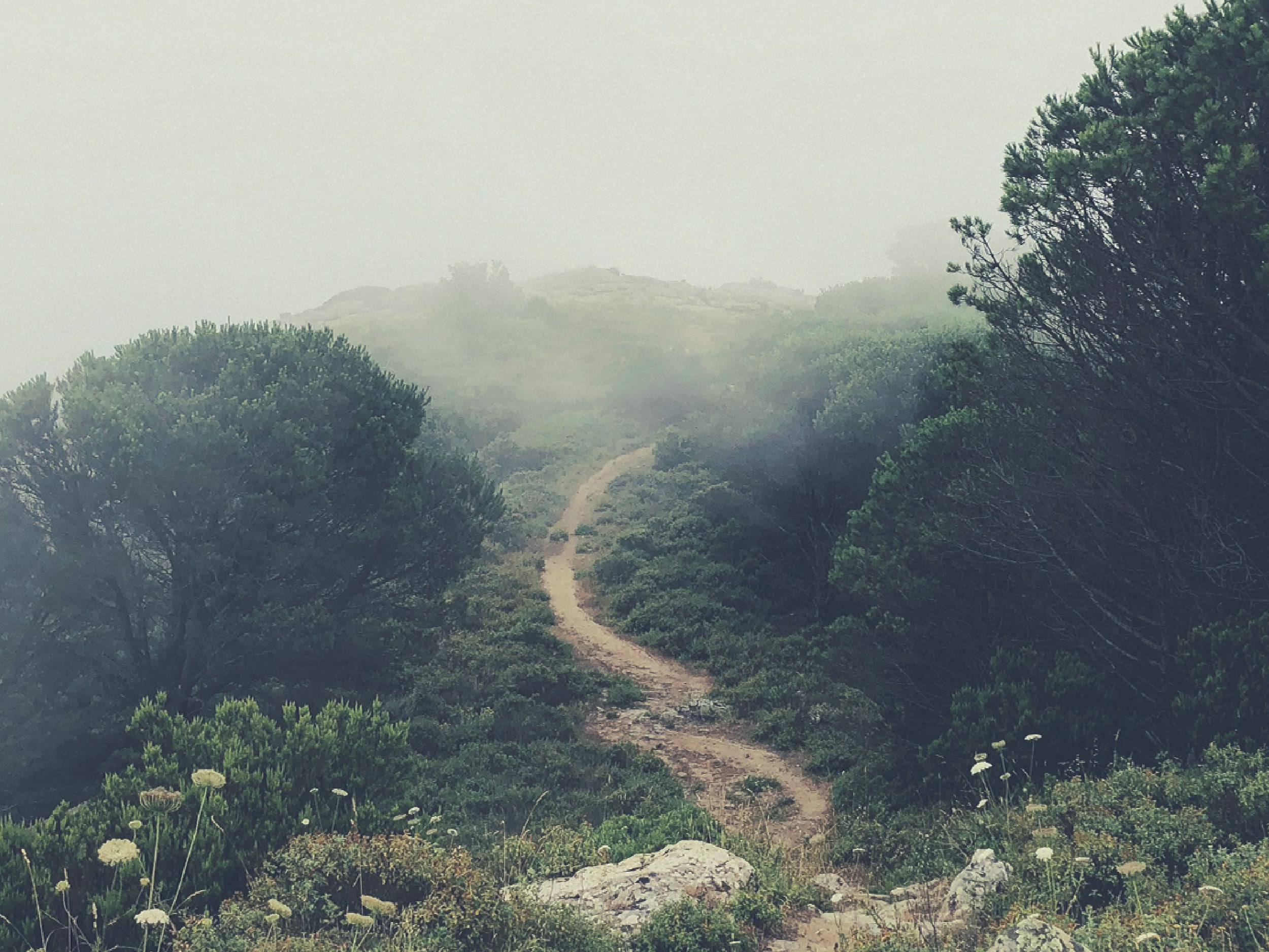 blog feature image 1200x900 faith fear letting go