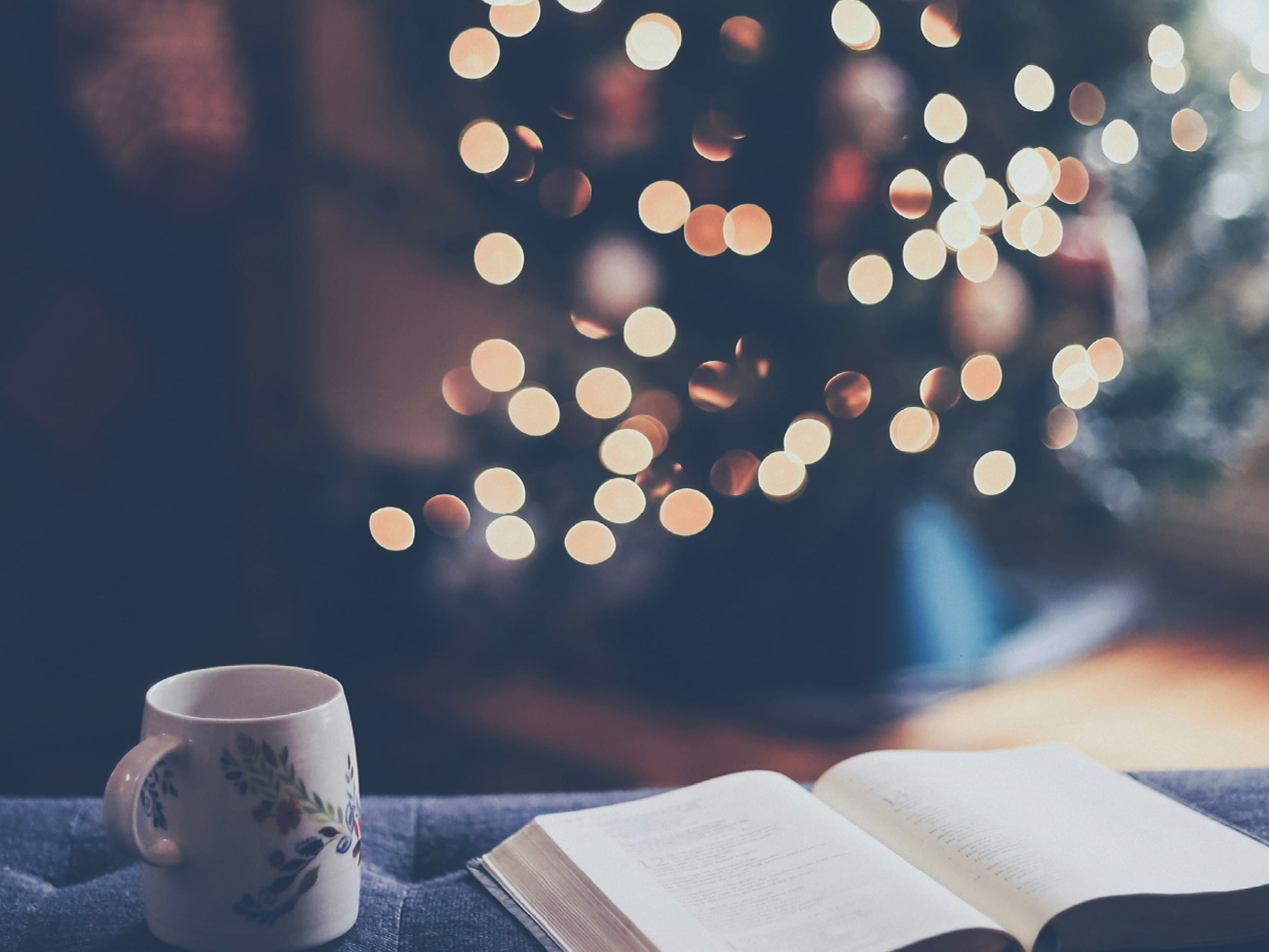 blog feature image 1200x900 freed and fortified