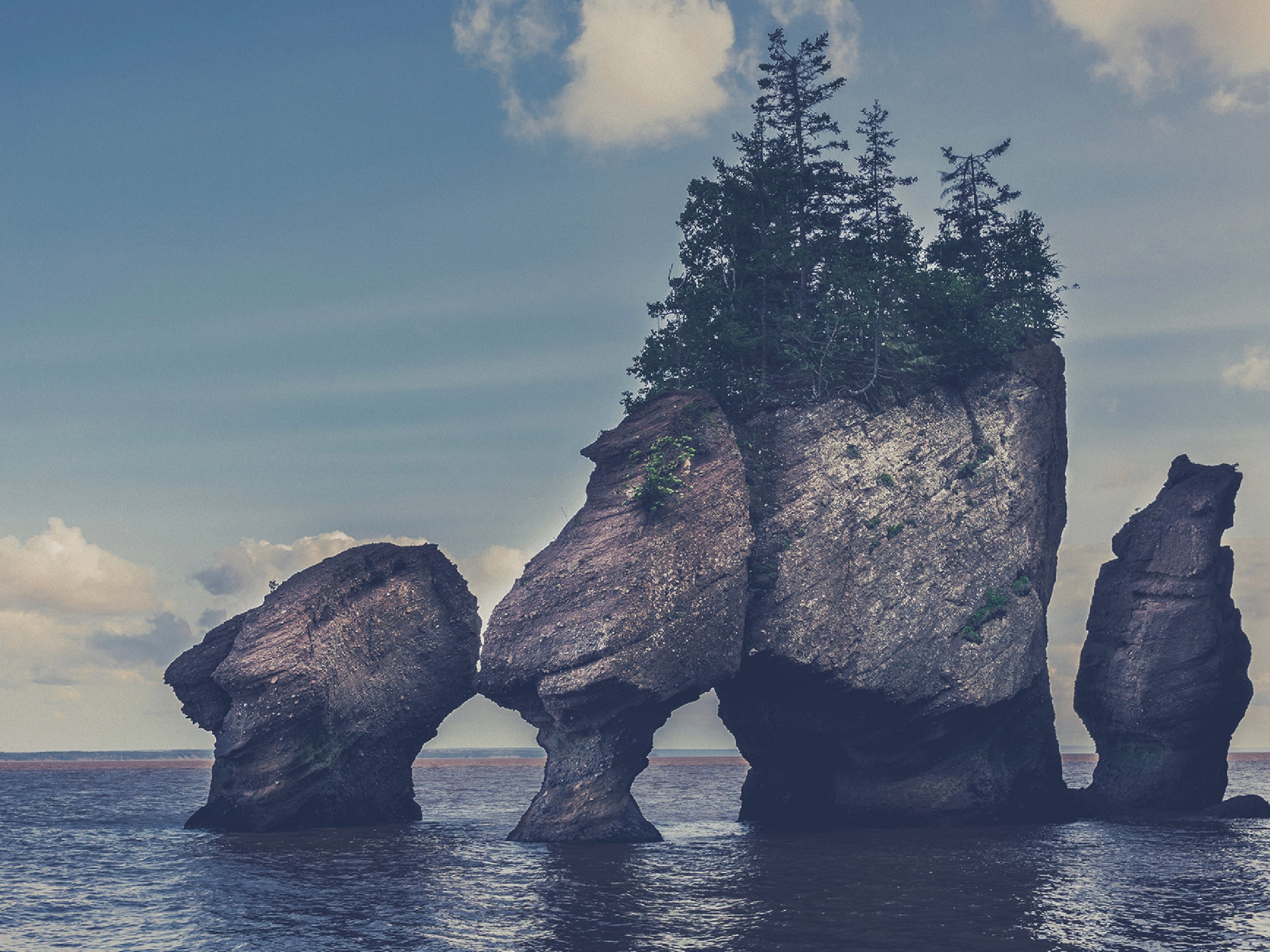 blog feature image 1200x900 making peace with loss