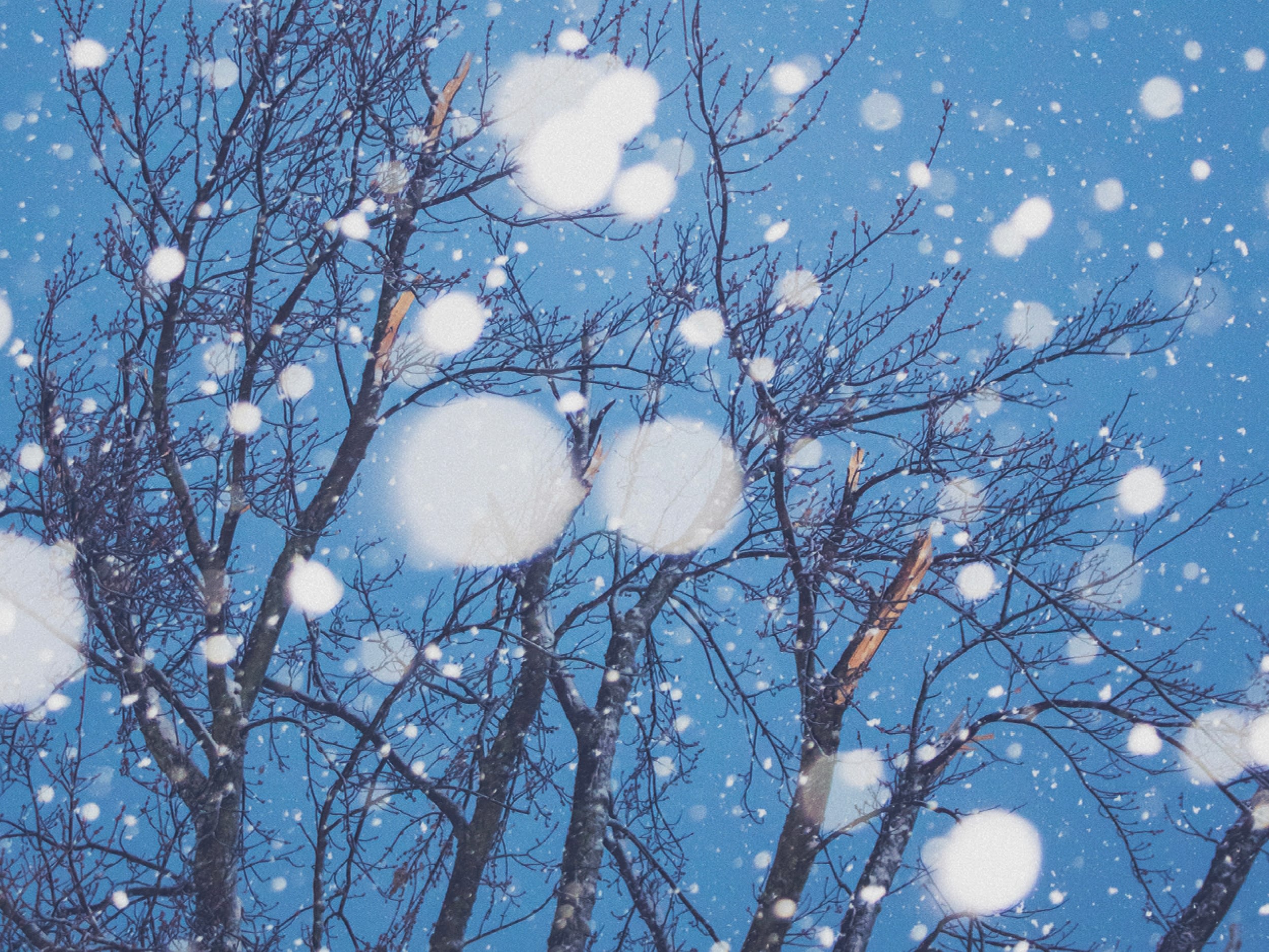 blog feature image 1200x900 mentors like snowflakes