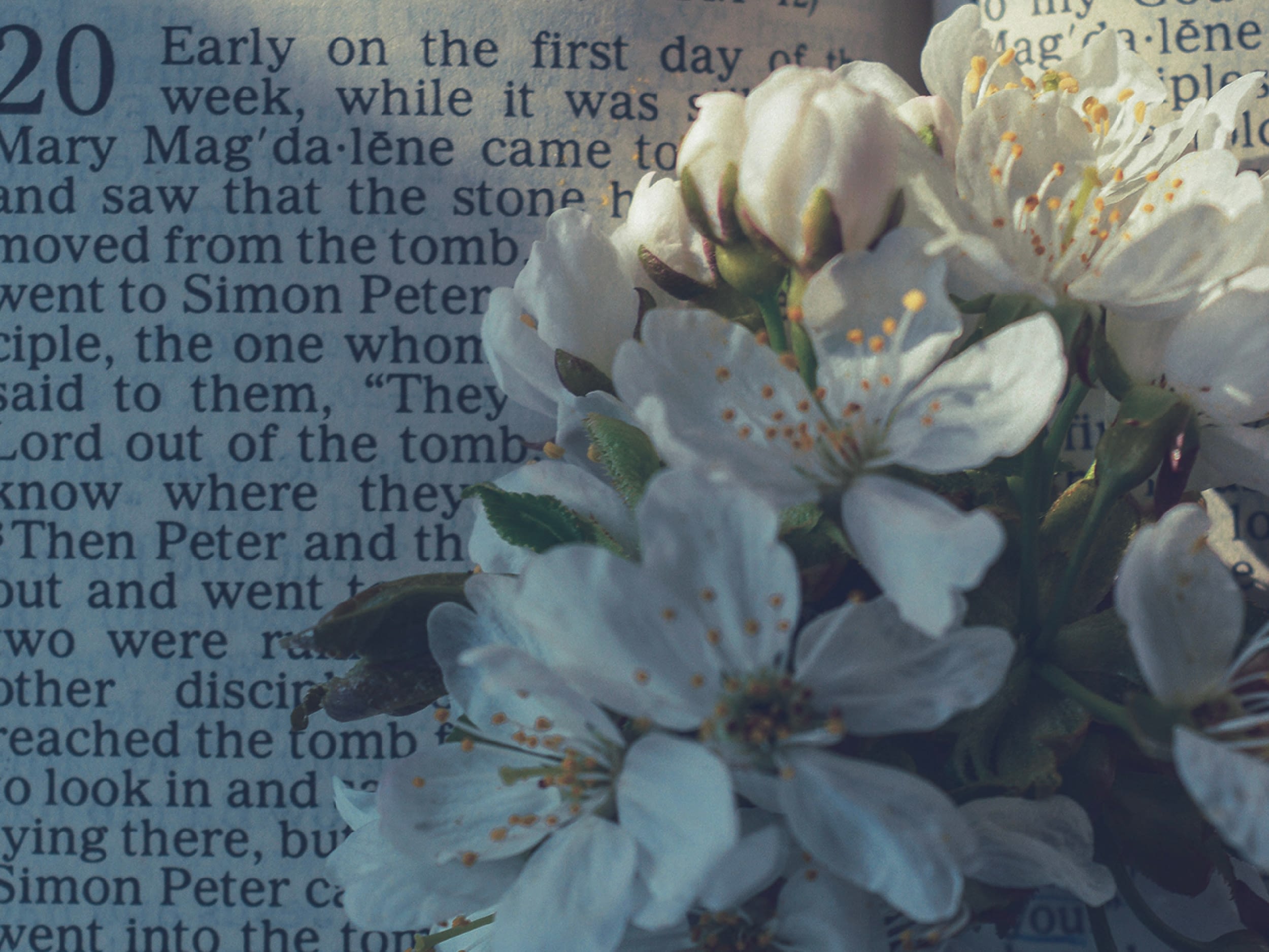 blog feature image 1200x900 the unexpected women at easter