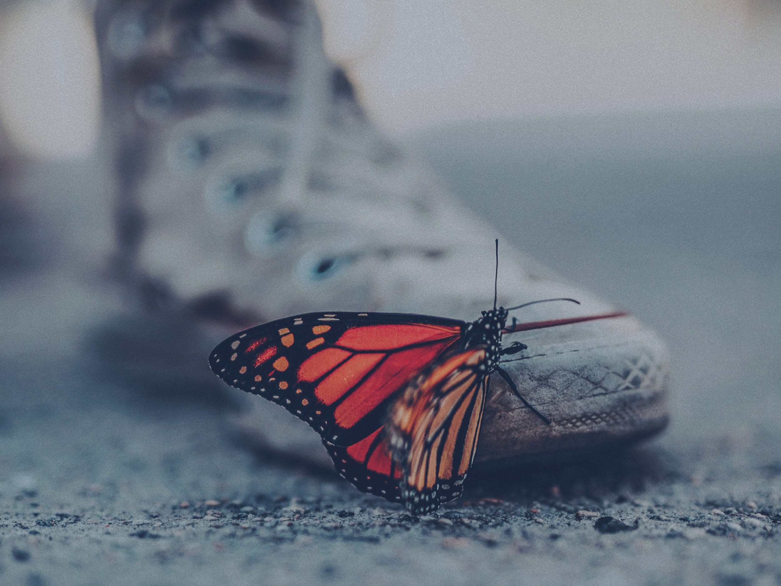 blog feature image 1200x900 unwanted change unfailing god